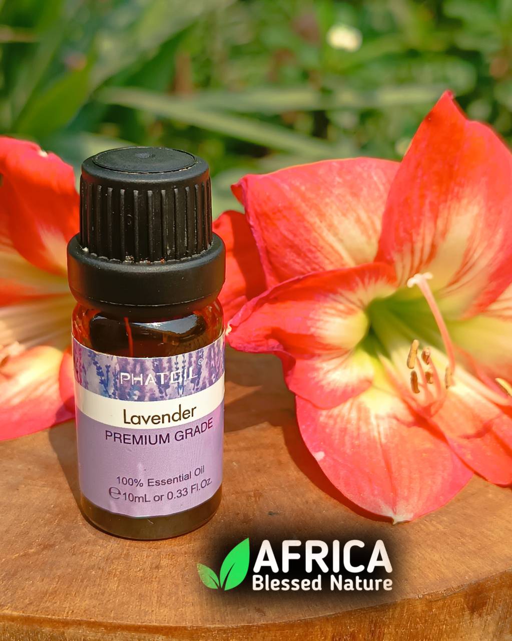 Oleo essencial de Lavanda