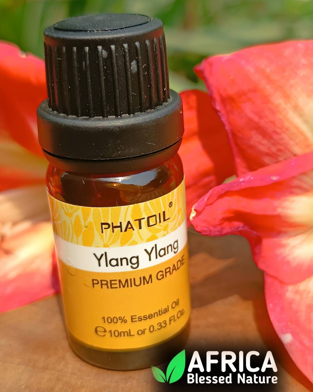 Oleo essencial de ylang lang