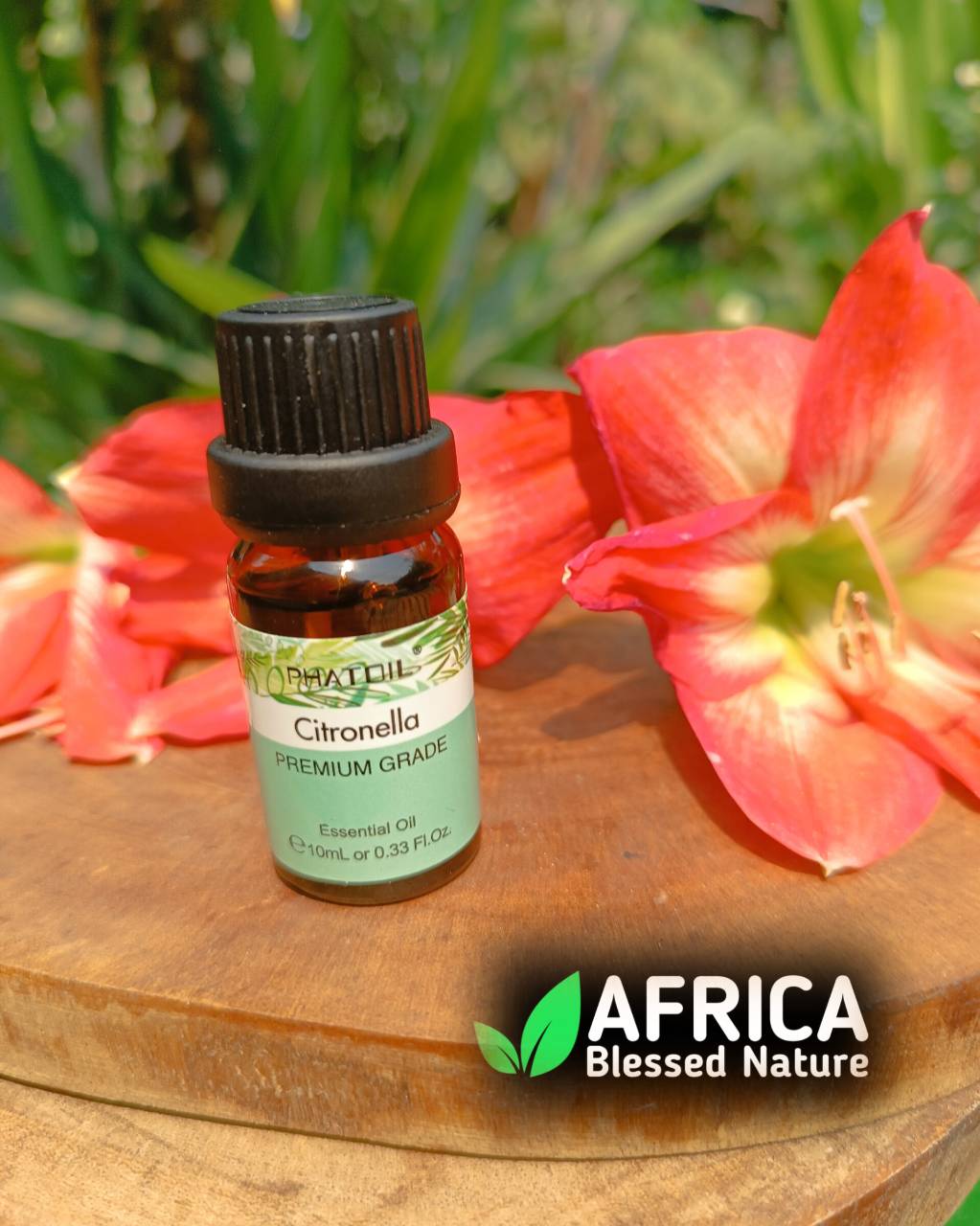 Oleo essencial de Citronela