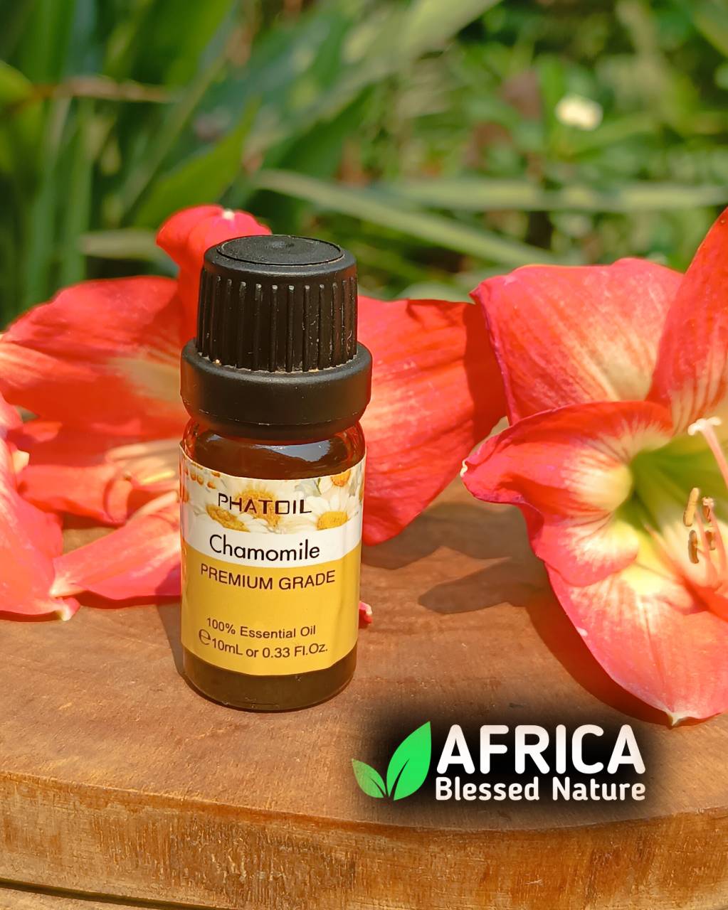 Oleo essencial de camomila