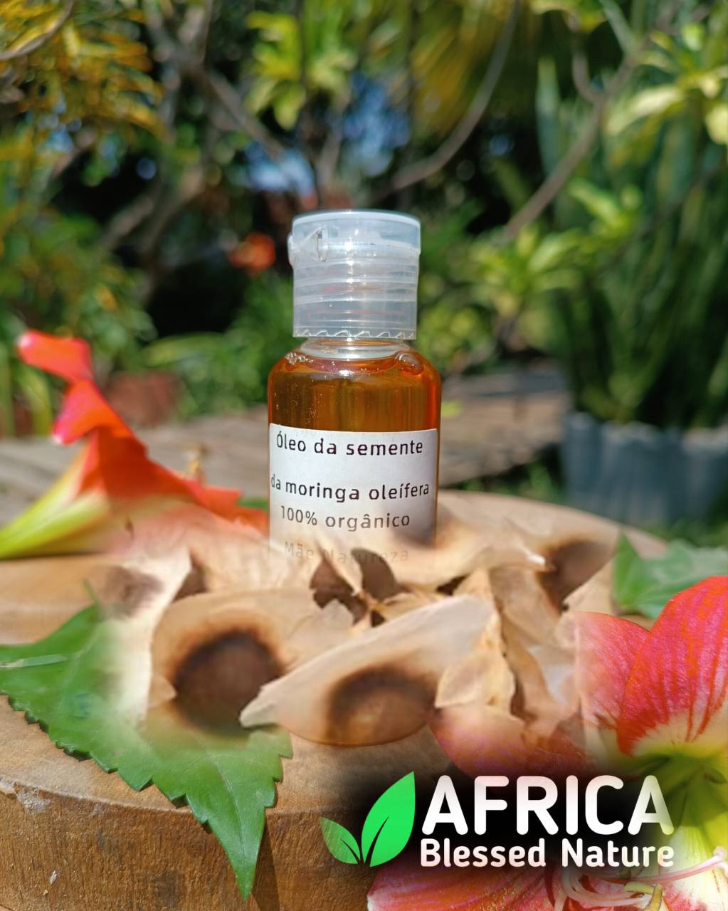 Óleo de Moringa 